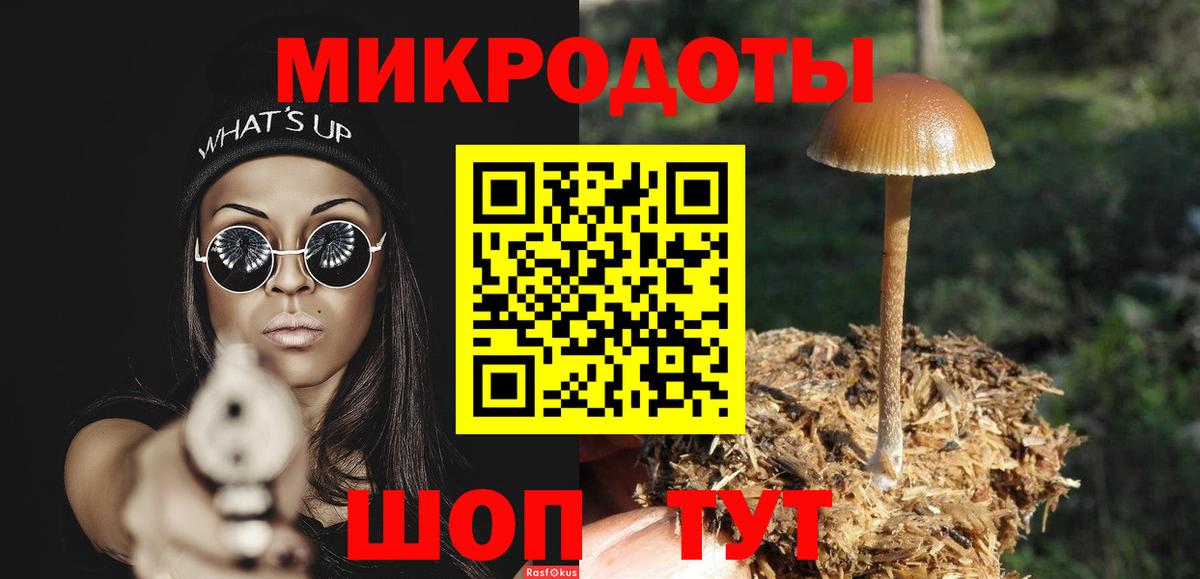 Галлюциногенные грибы Cubensis Люберцы